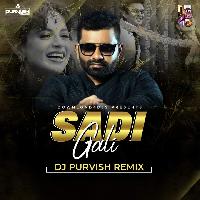 Sadi Gali (Remix) - DJ Purvish